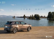 1月“开门红”，2月“开门杀” ：开年两个月，2024年车市已经定调