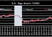 美国2024年1月份纯电动汽车注册量：涨幅放缓