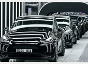 分析师：特斯拉是一家“没有增长的成长型公司”