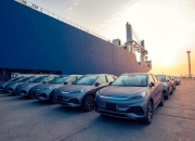 中国新能车崛起，全靠“不赚钱”？