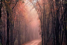 人保车险|车险理赔的流程是怎样的？需要注意哪些事项？